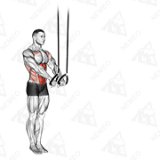 Demostración animada de Abdominales suspendidos (desplegables sobre correas)