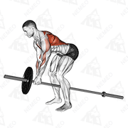 Animated demonstration of lever bent over row