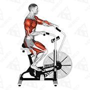 Animated demonstration of cycle cross trainer