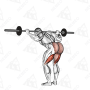Animated demonstration of barbell good morning