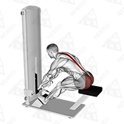 Animated demonstration of lever seated good morning