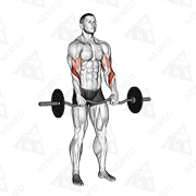 Démonstration animée de l’exercice Curl pronation à la barre EZ
