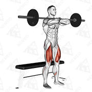 Animated demonstration of barbell bench front squat