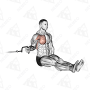 Animated demonstration of cable seated shoulder internal rotation