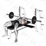 Animated demonstration of barbell reverse close-grip bench press