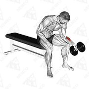 Animated demonstration of dumbbell one arm seated neutral wrist curl