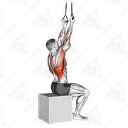 Animated demonstration of band fixed back underhand pulldown