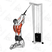 Animated demonstration of cable high row (kneeling)