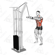 Animated demonstration of cable thibaudeau kayak row