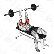 Animated demonstration of barbell jm bench press