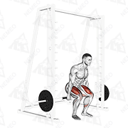 Animated demonstration of smith hack squat