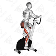 Animated demonstration of stationary bike walk