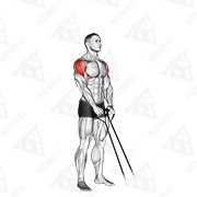 Animated demonstration of band y-raise