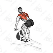 Démonstration animée de l’exercice tirage avec barre T