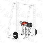 Démonstration animée de l’exercice Rowing supination à la Smith