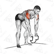 Animated demonstration of cable cross-over revers fly
