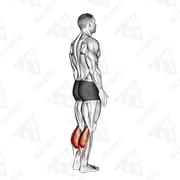 Animated demonstration of bodyweight standing calf raise