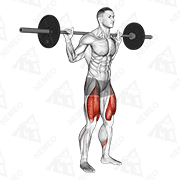 Animated demonstration of barbell low bar squat