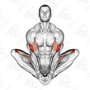 Animated demonstration of butterfly yoga pose