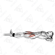Animated demonstration of band lying straight leg raise