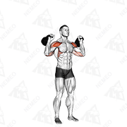 Dimostrazione animata di Pressa militare con kettlebell a due braccia