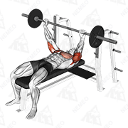 Animated demonstration of barbell pin presses