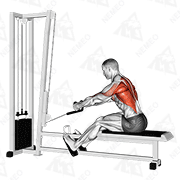 Animated demonstration of cable rope elevated seated row