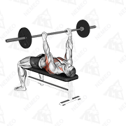 Animated demonstration of barbell bent arm pullover
