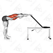 Animated demonstration of back pec stretch