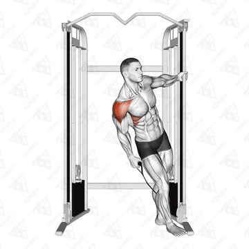 Démonstration animée de l’exercice Cable Lean-Away Lateral Raise (Élévations latérales inclinées à la poulie)