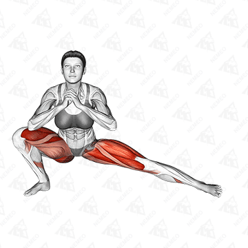 Animated demonstration of Cossack squat