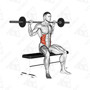 Animated demonstration of barbell seated twist