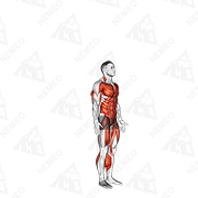 Démonstration animée de l’exercice burpee