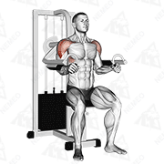 Animated demonstration of lever lateral raise