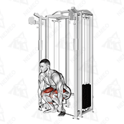 Animated demonstration of cable deadlift