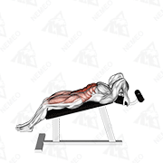 Animated demonstration of incline leg hip raise (leg straight)