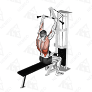 Animated demonstration of cable bar lateral pulldown