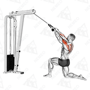 Animated demonstration of cable kneeling rear delt row (with rope) (male) expanded