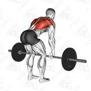 Animated demonstration of barbell bent over row