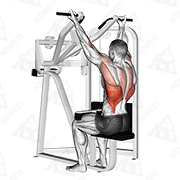 Animated demonstration of reverse grip machine lat pulldown
