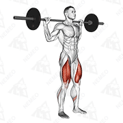 Animated demonstration of barbell narrow stance squat