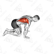 Animated demonstration of kneeling lat stretch