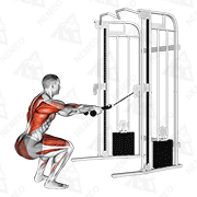 Animated demonstration of cable squat row (with rope attachment)