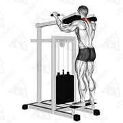 Démonstration animée de l’exercice Haussements d'épaules (shrug) à la machine