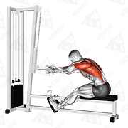 Démonstration animée de l’exercice tirage (rowing) assis à la machine