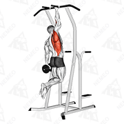 Animated demonstration of weighted one hand pull up