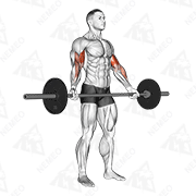 Animated demonstration of barbell standing wide grip biceps curl