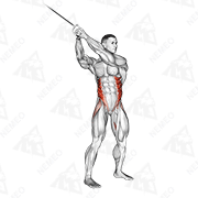 Animated demonstration of cable twist (up-down)