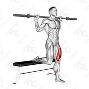 Animated demonstration of barbell single leg split squat