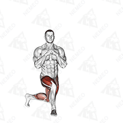 Animated demonstration of curtsey squat